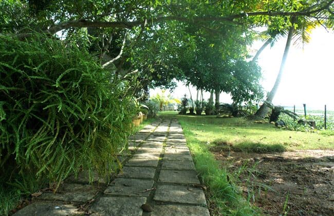 Orchid Lake View, Alleppey 5